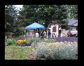 Returning from the park, just outside Sequim, the girls wanted to stop at a lavender farm.